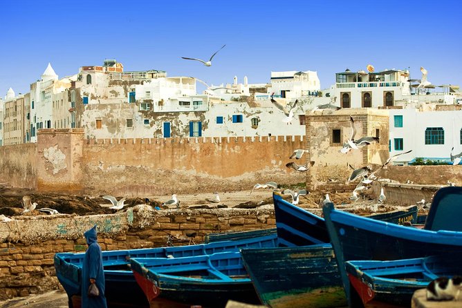 1 Day Excursion from Marrakech to Essaouira - Goats climbing argan trees