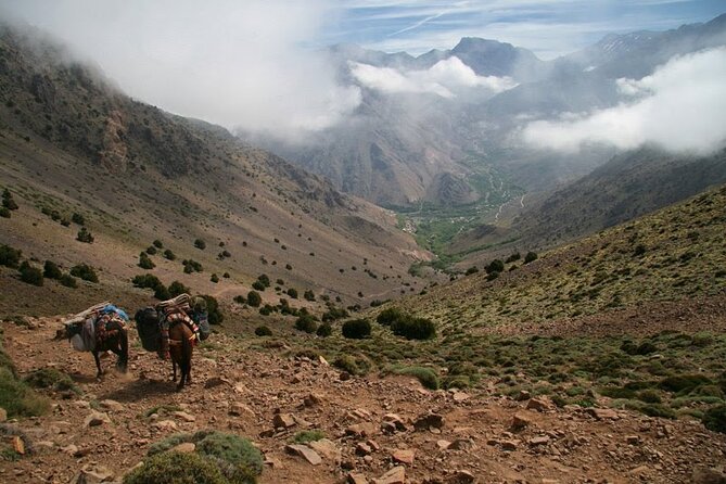 1-Day tripTour from Marrakech to Imlil in Atlas Mountains - The Three-Hour Walk Toward Aremd