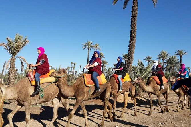 1-Hour Camel Ride and 1-Hour Quad Bike Ride in Marrakech. - Why the small group matters