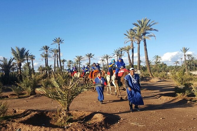 1-Hour Camel Ride and 1-Hour Quad Bike Ride in Marrakech. - What the transport and timing mean for your day