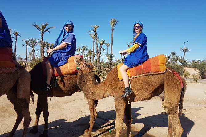 1-Hour Camel Ride and 1-Hour Quad Bike Ride in Marrakech. - The setting: palm grove rather than Sahara dunes
