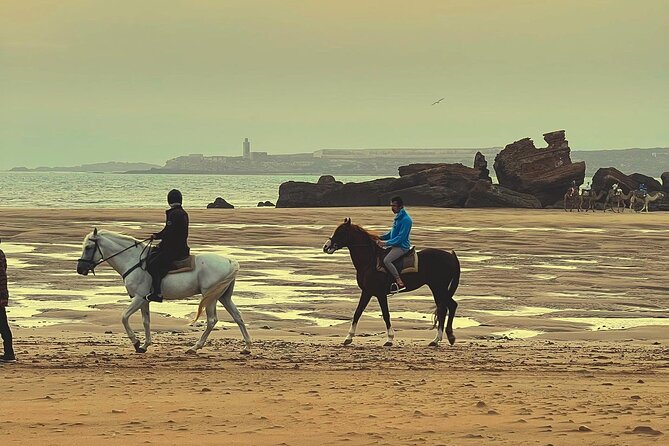 1 hour horse ride on the beach of essaouira - Is $34.89 a fair price?