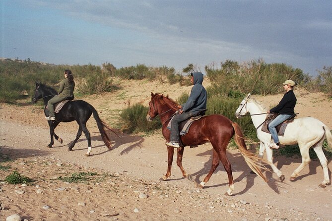 1 hour horse ride on the beach of essaouira - Along the Atlantic beach