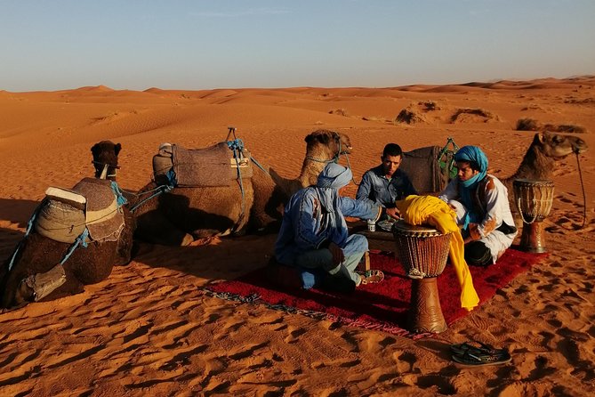 1 Night Camel Trekking Tour in Merzouga Desert Camp - Who will enjoy this desert night most