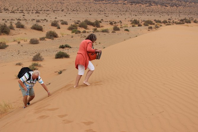 1 night in desert from Agadir - Guelmim, the gateway to desert country