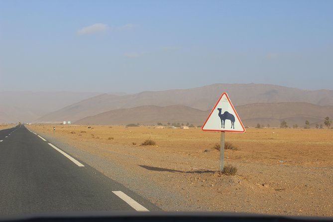 1 night in desert from Agadir - Sleeping in the desert and catching sunrise