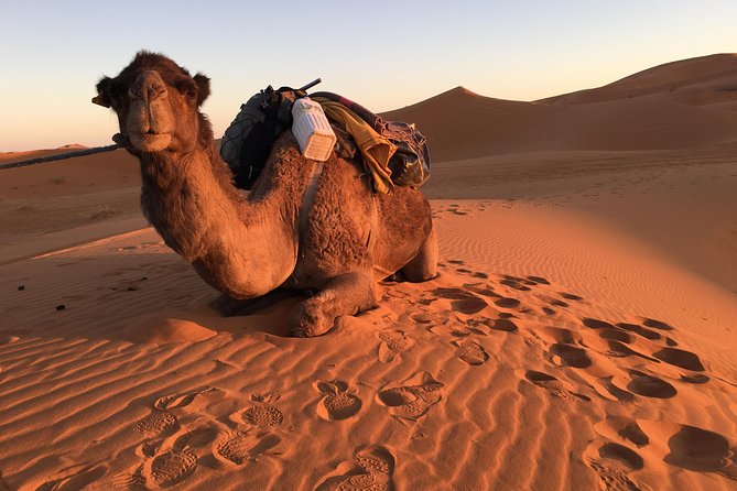 10-Day Chefchaouen to Sahara to Marrakech - Private Group - Day 3: From Chefchaouen Toward Fez