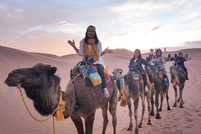 10 Days 9 Nights Luxury Tour of Morocco - Day 5: Camel ride and a night in a Berber tent