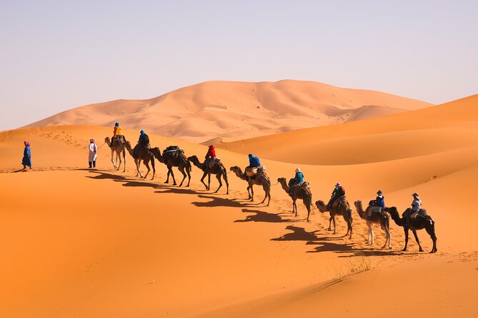 10 Days Morocco Private Tour From Marrakech By South Desert And Imperials Cities - Meknes, Volubilis, and the blue streets of Chefchaouen