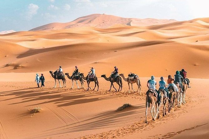 10D 9N Private Morocco Tour From Casablanca By Imperial Cities And South Desert - A full Merzouga day with nomad life and desert history