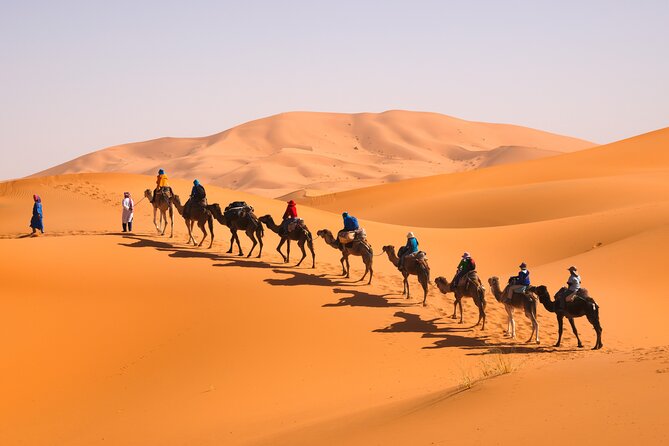 10D 9N Private Morocco Tour From Casablanca By Imperial Cities And South Desert - Fez: One full day in Morocco’s great medieval city