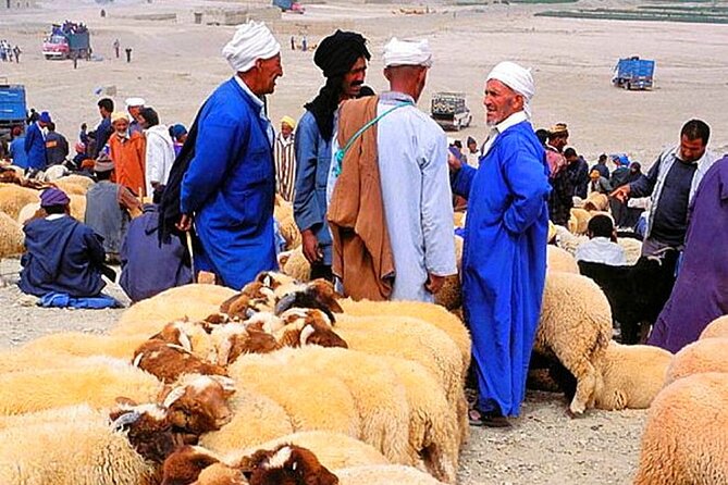 2 Day Desert Tour From Marrakech through the Atlas Mountains & Camel ride - Key points at a glance