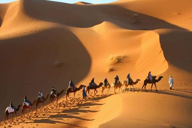 2 Day Desert Tour From Marrakech through the Atlas Mountains & Camel ride - Crossing the Atlas Mountains from Marrakech
