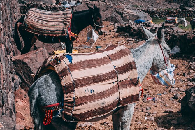 2 day mount toubkal trek ( private trek ) - Who should book this trek