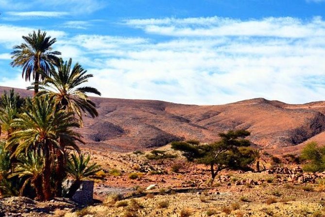 2 Days 1 Night Amazing Zagora Desert Tour From Marrakech - Reaching Zagora at sunset