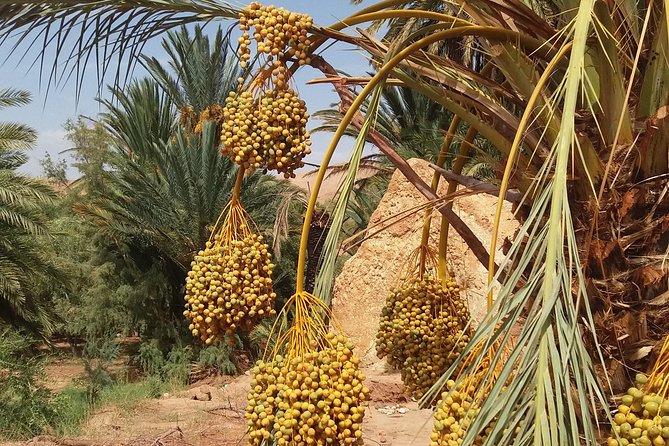 2 Days 1 Night To Zagora Desert From Marrakech - Sunrise and the short second day