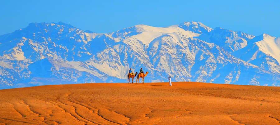 2 Days Desert Agafay and Atlas Mountains Trek From Marrakech - Should you book the Agafay and Atlas Mountains trek?