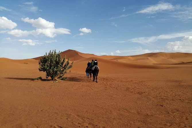 2 Days Fes Desert trip Overnight Erg chebbi End up Fes/Marrakech - Sunset at Erg Chebbi is the main event