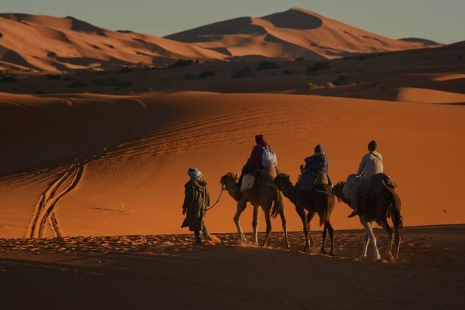 2 Days Fes Desert trip Overnight Erg chebbi End up Fes/Marrakech - Leaving Fes and climbing into the Atlas Mountains
