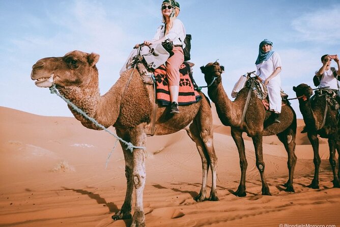 2 days luxury desert trip [fes to fes or marakech] - The big question: can Fez to the Sahara work in two days?