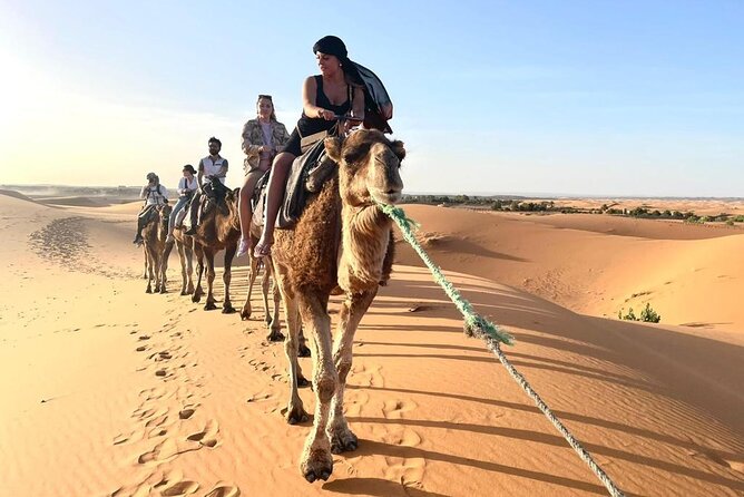 2 days luxury desert trip [fes to fes or marakech] - A 90-minute camel ride into the sand