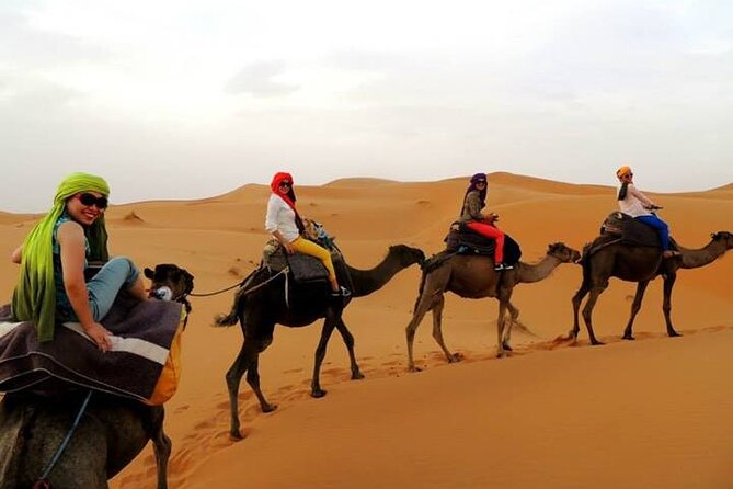 2 Days Sahara Group Tour Fez to Marrakech via Merzouga - Ifrane, Morocco’s Alpine Pause