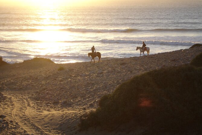 2 hours horse ride beach and dunes in Essaouira Morocco - From Essaouira to the Ranch de Diabat