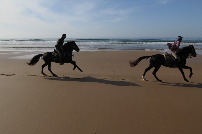 2 hours horse ride beach and dunes in Essaouira Morocco - The beach ride near Essaouira
