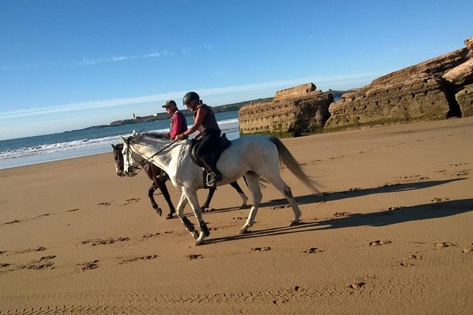 2 hours horse ride beach and dunes in Essaouira Morocco - Safety, ability, and family fit