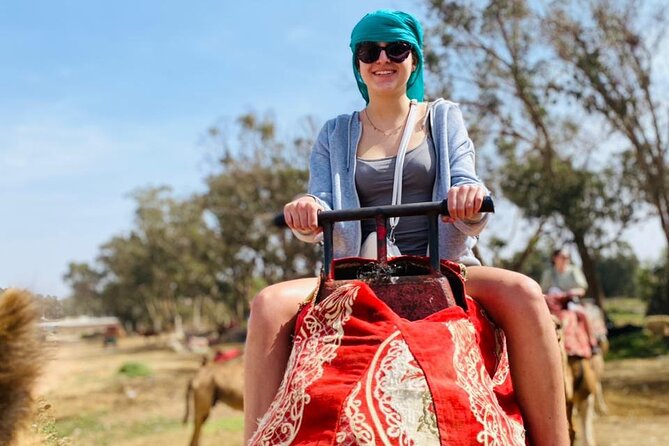 2 Hours Private Camel Ride in Agadir - The Souss River and distant flamingos