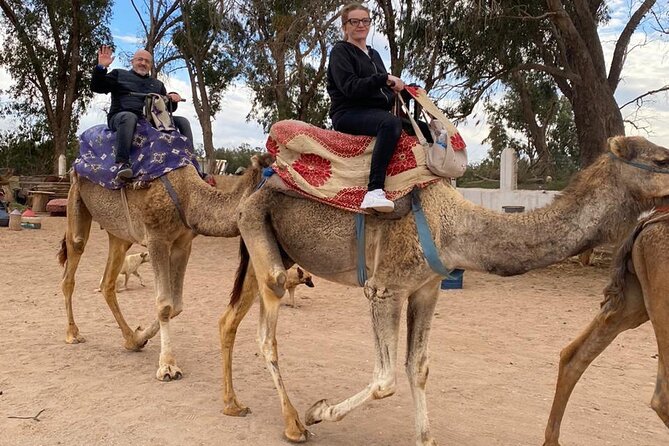 2 Hours Private Camel Ride in Agadir - Meeting the camels at the ranch