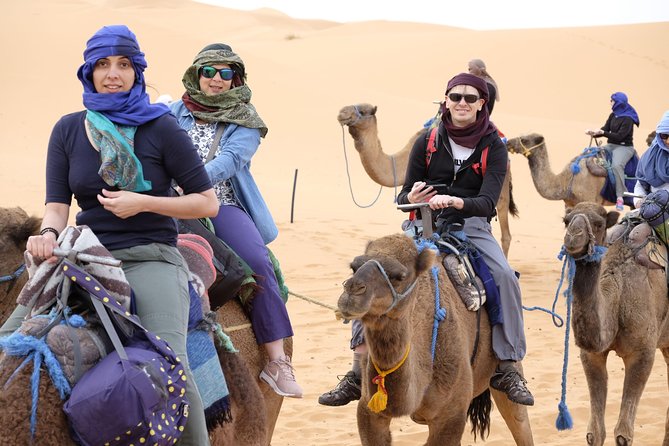 2 nights desert tour from Marrakech to Merzouga & camel ride - Day 2: Todra Gorge, Erg Chebbi, and the camel ride