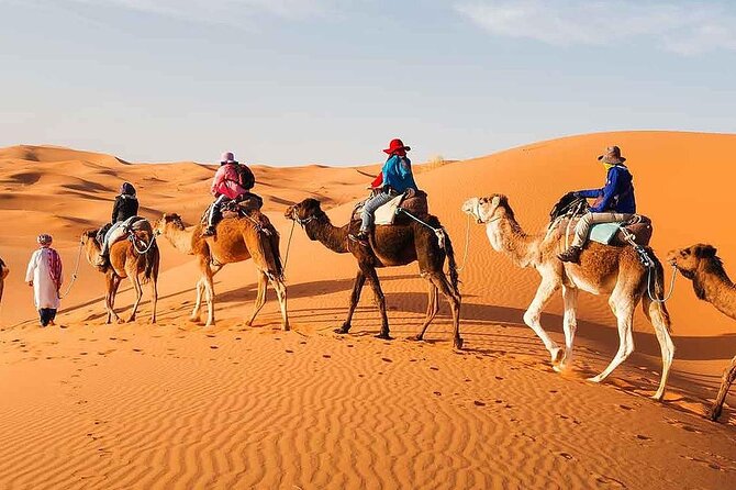 2Days Share Tour From Fes To Marrakech Or Fes Via Sahara & camel - What this Fes to Marrakech route really involves