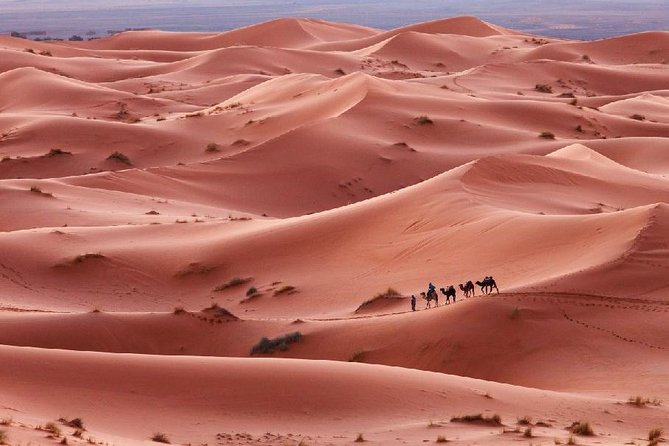 3-Day Desert Experience from Marrakech - Meals, rooms, and what to bring