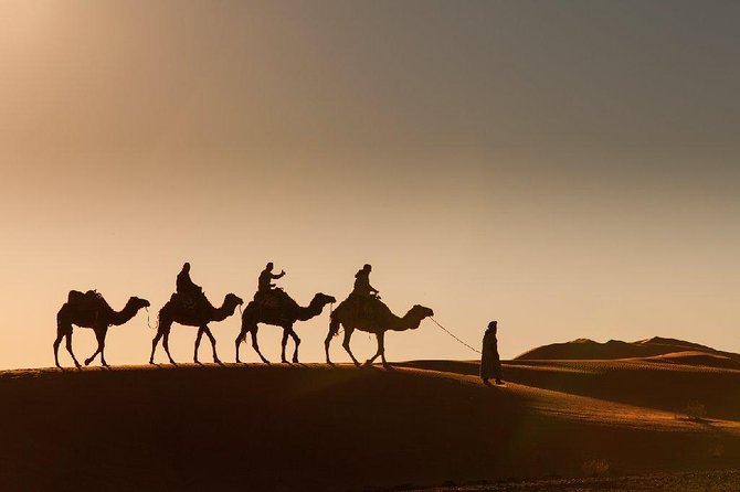 3-Day Desert Experience from Marrakech - Ouarzazate and the road through Rose Valley