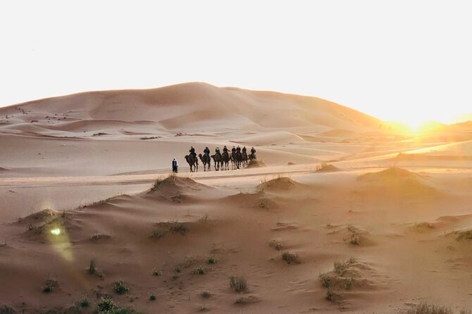 3-Day Desert Tour from Marrakech to Marzouga - Who should book this Sahara trip?