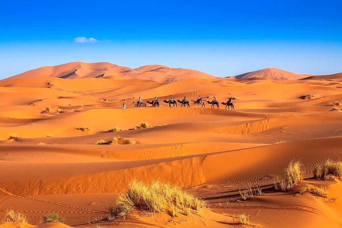 3-Day desert tour Marrakech to Fes via Merzouga - Five details that shape the trip
