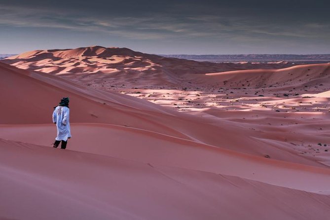 3-Day desert tour Marrakech to Fes via Merzouga - Day 2: Fossils, Todra Gorge, and the Merzouga dunes