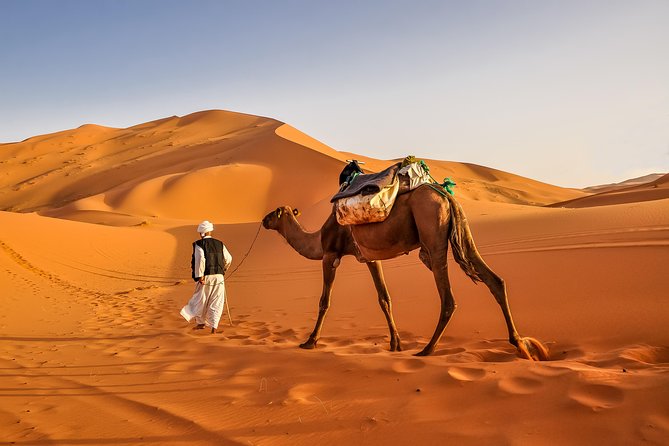 3-Day desert tour Marrakech to Fes via Merzouga - The driver can make or break the schedule
