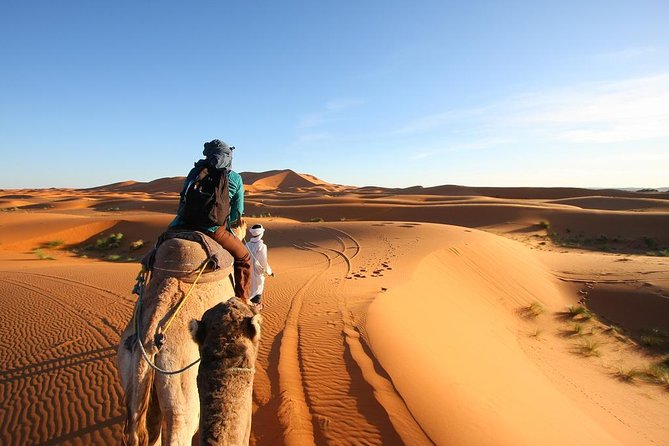 3 Day Desert Tour Marrakech to Fes - Day 3: Sunrise, the Ziz Valley, and the Middle Atlas