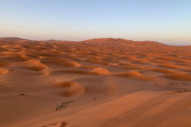 3-Day Desert Tour to Fez: Ouarzazate and Berber Village from Marrakech - Who will enjoy this desert journey most