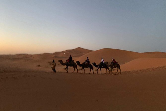 3-Day Desert Tour to Fez: Ouarzazate and Berber Village from Marrakech - Should you book the Marrakech-to-Fez desert tour?