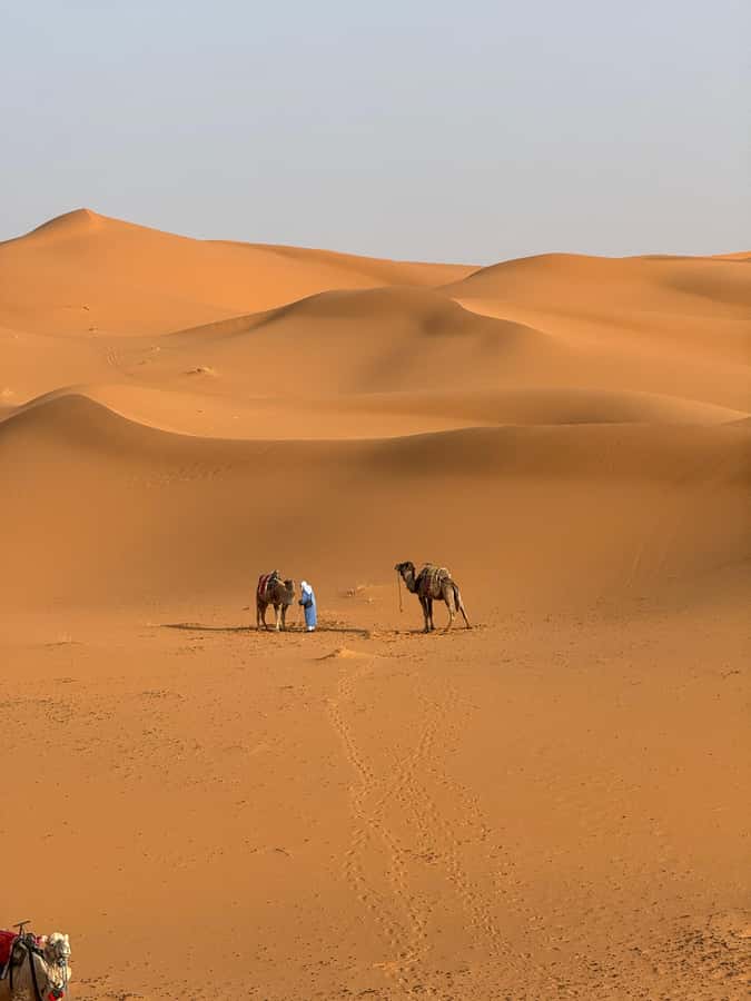 3-Day luxury Adventure: Marrakech to Merzouga incl.Quad/show - Day 2: Todra Gorge and the road to Erg Chebbi