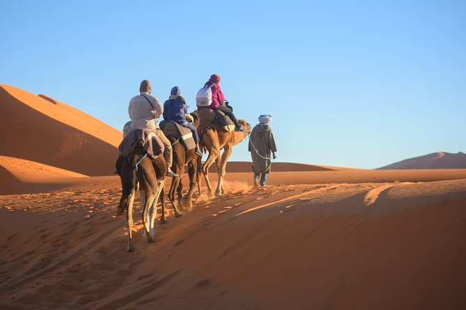 3-Day Luxury/Budget Desert Tour to Marrakech via Merouga from Fez - Day 1: From Ifrane’s cedars to the Erg Chebbi dunes
