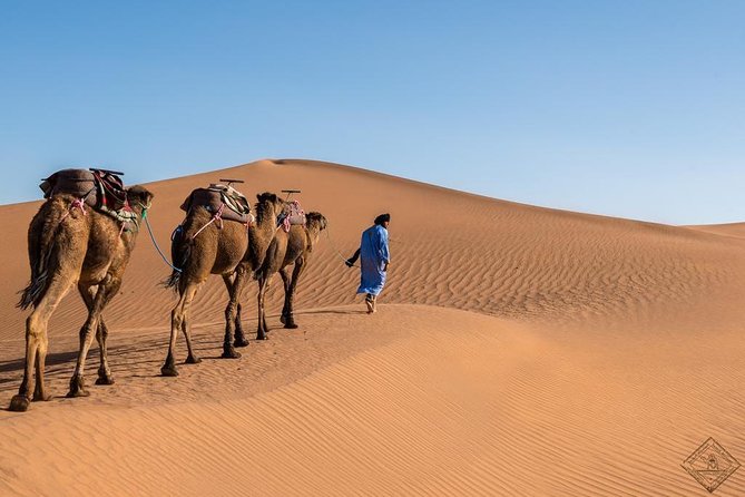 3 Day Luxury Tour: Sahara desert & luxury camp from Marrakech - Todra Gorge and the road toward Merzouga