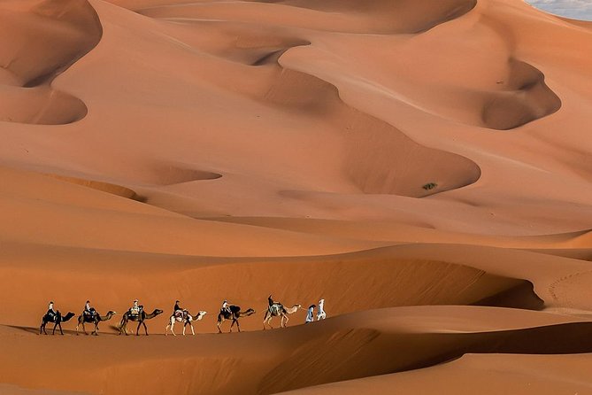 3 Day Marrakech to Fes desert Tour - Camel Trek - Who should book this desert tour?