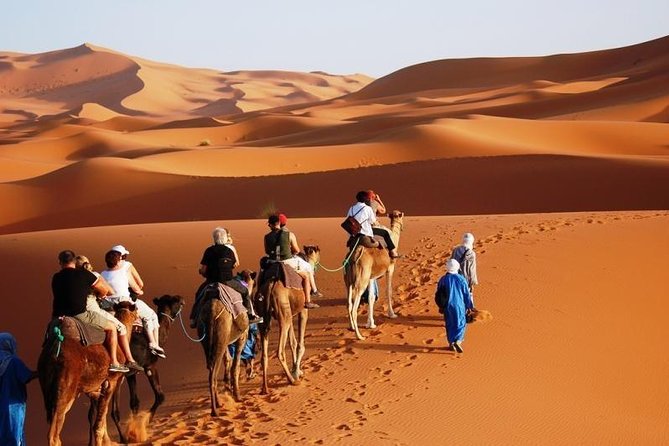 3-Day Marrakech to Fes Sahara Desert Tour via Merzouga - Transport, group size, and the guide experience