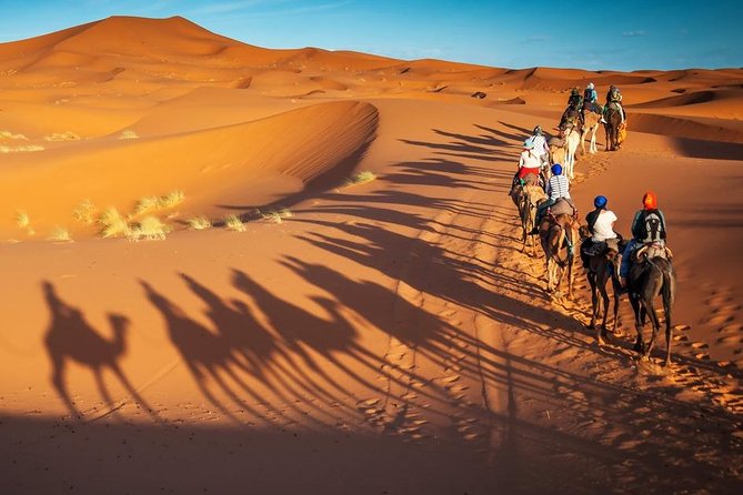 3-Day Marrakech to Fes Sahara Desert Tour via Merzouga - Food, spending money, and useful packing advice
