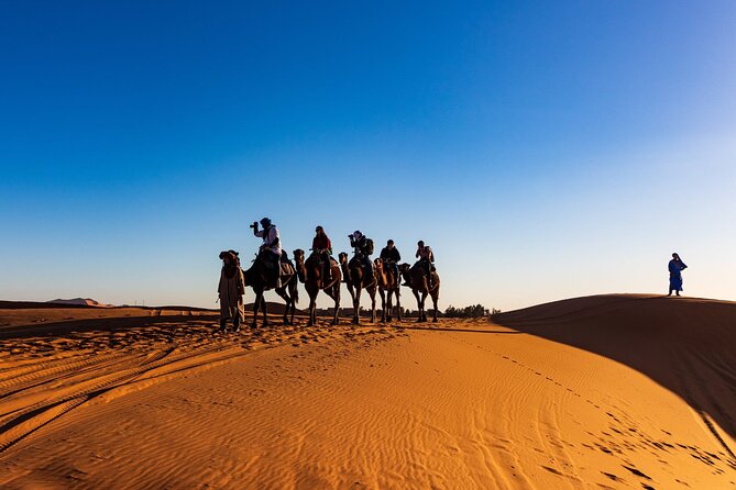 3-Day Marrakech to Merzouga Desert Tour: Camel Rides & Overnights - Transport, group size, and the real cost