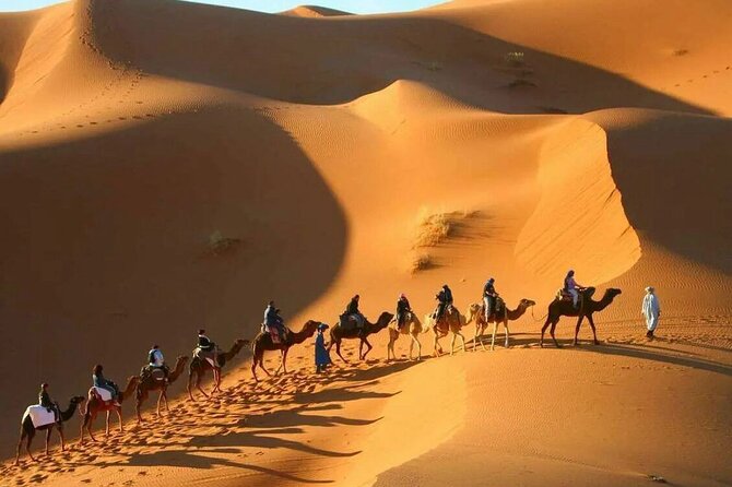 3-Day Sahara Adventure: Marrakech to Fez via Merzouga - Sunrise, breakfast, and the choice between camel and 4WD